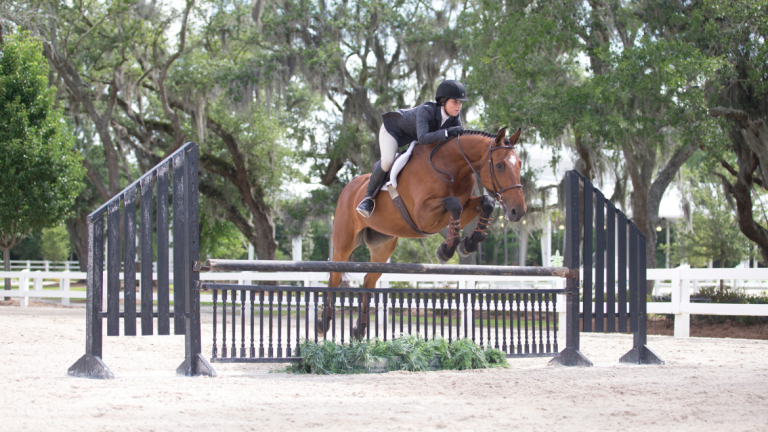 Equestrian Studies Degrees | Equestrian Studies Programs | SCAD.edu